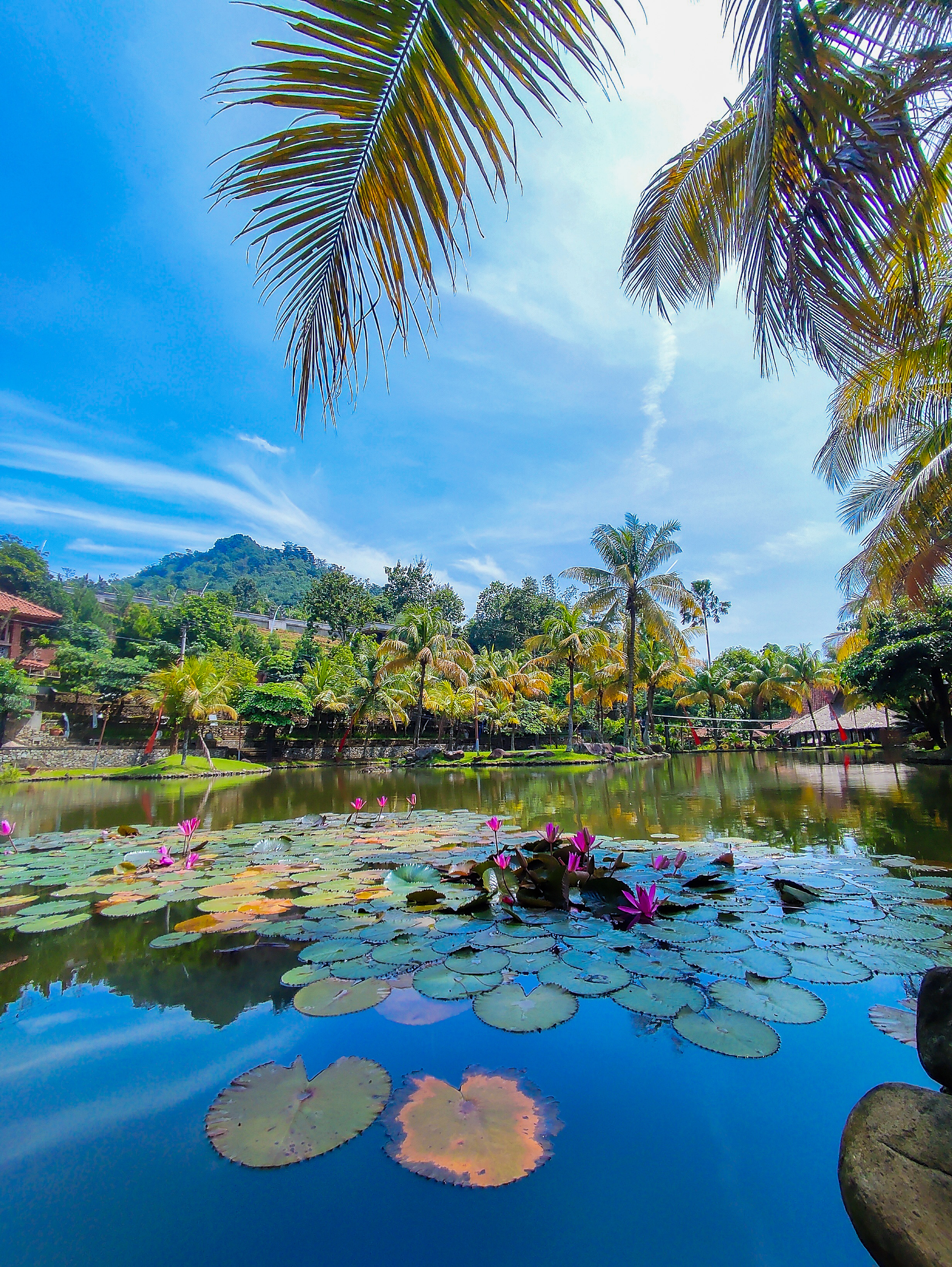 Gallery Kampung Turis